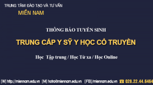 Trung cấp Y sỹ Y học cổ truyền