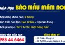 Thông tin Khóa học Chứng chỉ Bảo mẫu mầm non