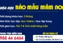Thông tin Khóa học Chứng chỉ Bảo mẫu mầm non
